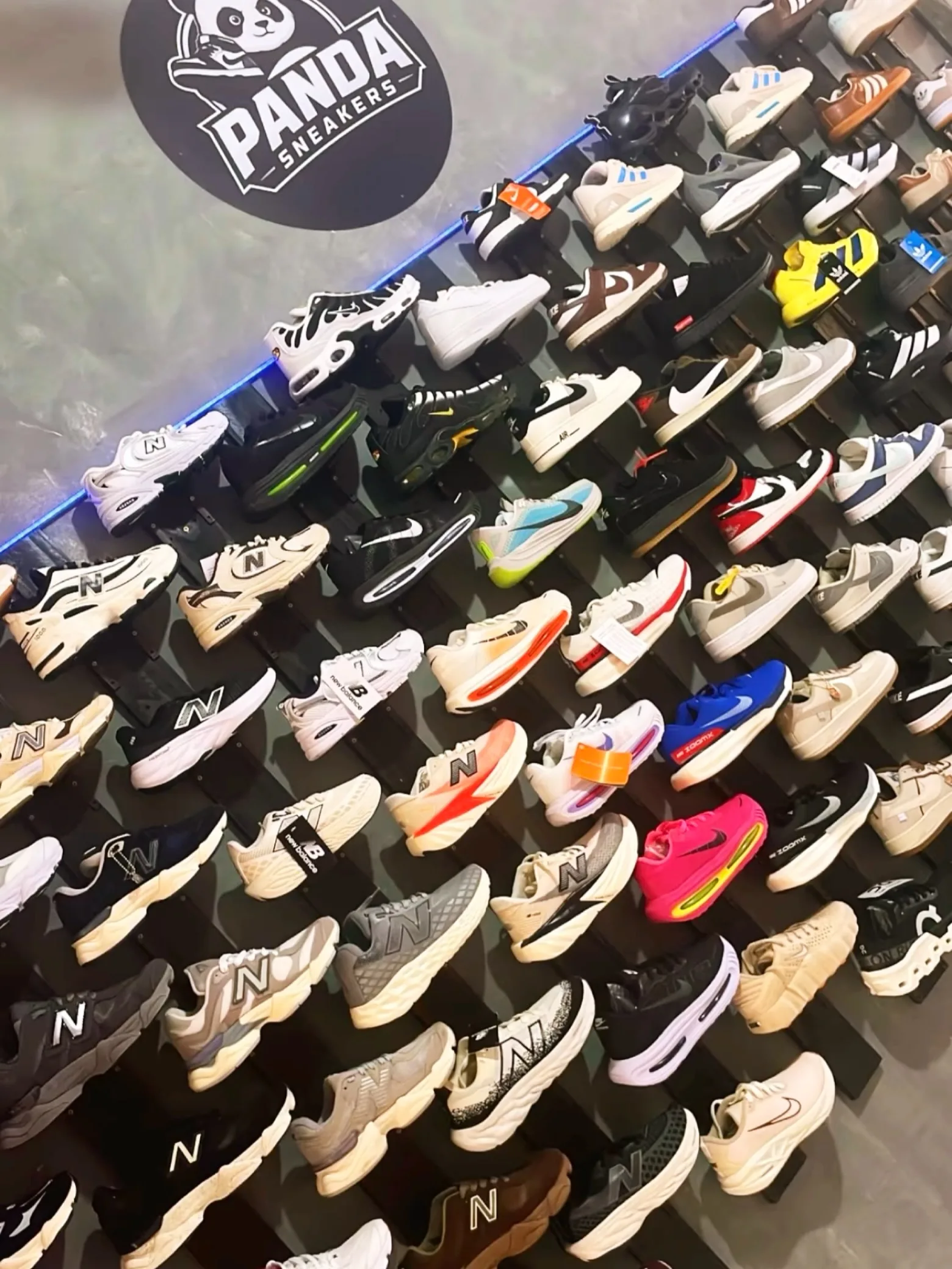 A parede da Panda Sneakers: dezenas de pares de tênis em prateleiras pretas com fita de LED